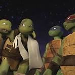 Teenage Mutant Ninja Turtles: The Good, the Bad and Casey Jones Film4