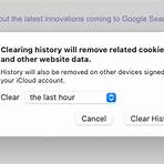 clear history from browser4