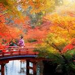 best time to visit japan in autumn winter4