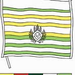 bandeira da bolívia para colocar como decoração na estante5