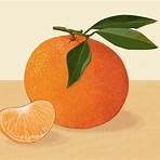 tangerine fruit3