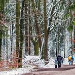 odenwald winterlandschaft3