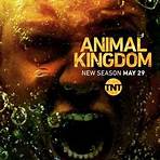 Animal Kingdom2