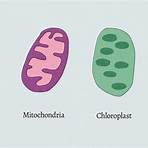 3 parts of the cell theory3