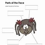 parts of the face worksheet for kids2
