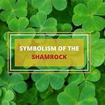 shamrock ireland meaning2