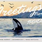 tromso whale watching season1