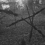 The Blair Witch Project3