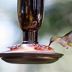 hummingbird feeder3