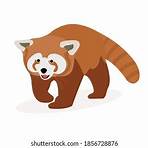panda rojo cute4
