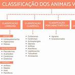 classificação dos animais vertebrados4