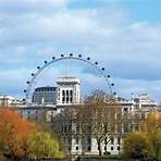 facts about london eye4