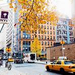 why do students choose nyu courses3