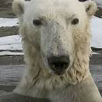 Polar Bear: Spy on the Ice Fernsehserie3