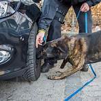 maitre chiens gendarmerie1