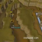 ammonite crabs how much afk osrs2