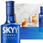 vodka skyy infusions2