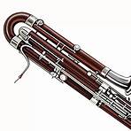 where is the best place to buy musical instruments from india1