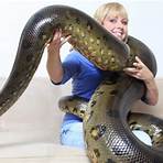 is the anaconda endangered species 2019 in usa list 20204