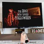 what is a good halloween movie for kids free1