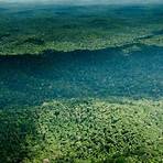 quelle est la richesse écologique de la forêt e la foret amazonienne4