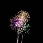 free images of fourth of july fireworks2