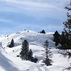 bergbahn reith im alpbachtal2