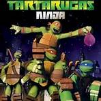 onde assistir tartarugas ninja4
