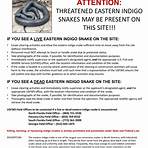 snakes on endangered species list 20214