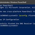 ipconfig /flushdns3