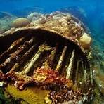 vida submarina ods 141
