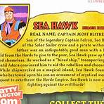 The Sea Hawk2