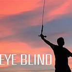third eye blind tour3