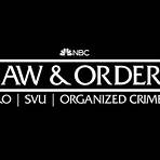 Law & Order Turn the Page1