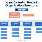 project team structure of organization3