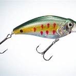 What makes a good fishing lure?1
