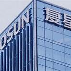 Fosun International4