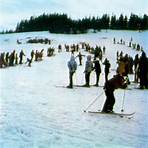 ebingen skilift3