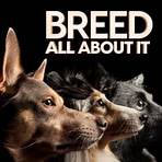 Breed All About It tv2