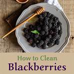 how do i wipe a blackberry plant to get fresh3