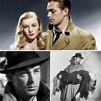 How did sue find out he was Alan Ladd?1
