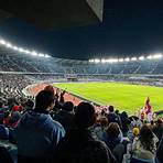 Boris Paichadze Stadium1