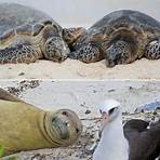 Who visited Midway Atoll?4