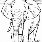elefante desenho4