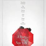 A Rainy Day in New York2
