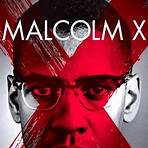 Blood Brothers: Malcolm X & Muhammad Ali película4