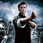 ip man2