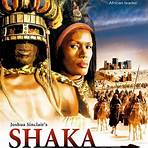 Shaka Zulu: The Citadel4