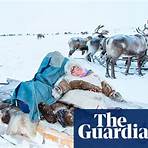 where did the nenets tribe move their reindeer to paint1