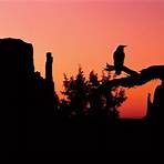 raven bird myths2